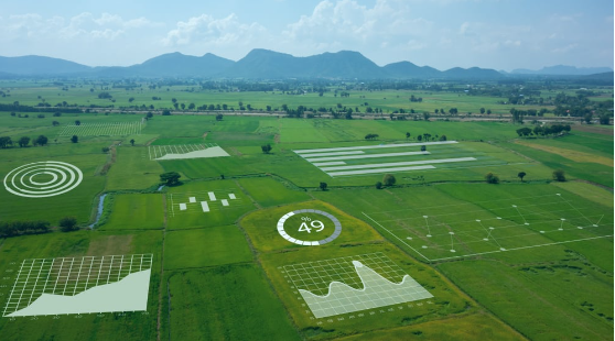 nordic agriculture