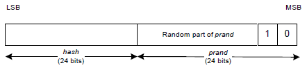Figure 4.1: Format of RSI
