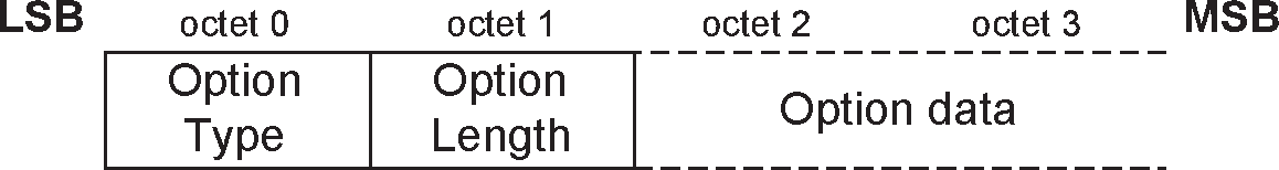 Configuration option format