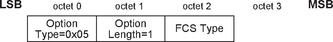 FCS option format