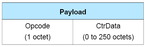 Format of the Payload of a BIG Control PDU
