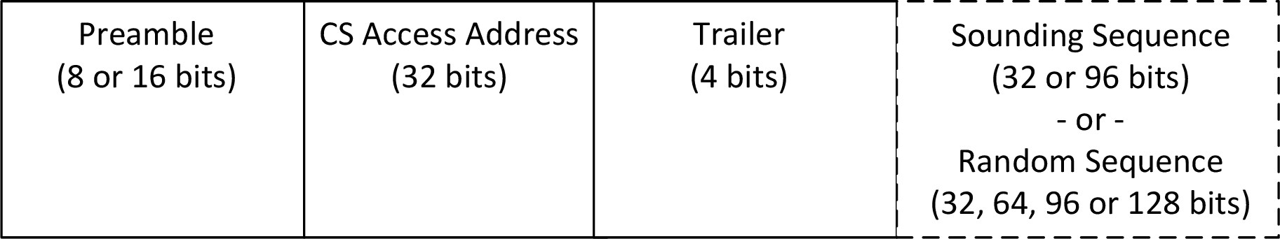 CS_SYNC packet format