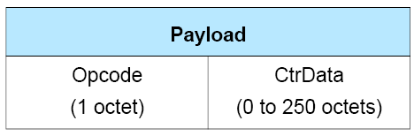 Format of the Payload field of a BIG Control PDU